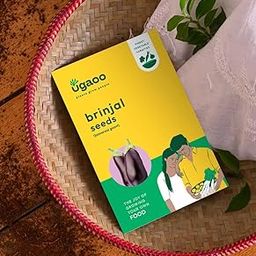 UGAOO Brinjal Banarasi Giant Vegetable Seeds (Pack of 800mg)-image-10