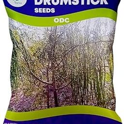 Iagrifarm ODC MORINGA Seeds Advance Variety Drumstick Seeds -250 gram - Sahjan ki Phalli/Saragavo - 2 times flowering-23