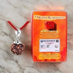 Haridwar Divine Brown Colour Seven Mukhi Rudraksha Certified/Original Nepali 7 Mukhi Rudraksh/Natural 7 Faced Rudraksha with Silver Pendent-14