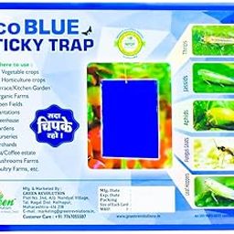 Green Revolution Eco Blue Sticky Trap For Thrips, Aphids, Leaf Miner, Fungus Gnat, Jassids, & All Harmful Flying Insects A5 Size (15Cm By 20Cm) Pack Of 1 (25 Pieces).-image-52