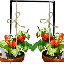 3 Feet Plant Supporter for Creepers Vine Stand Garden Trellis for Vegetables, Fruits, Flowers | Supporting Plants- Strong & Durable Solution for Healthy Growth - Pack of 2, Black-image-61