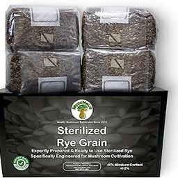 MycoHaus Mushroom Growing Kit with Injection Openings, Sterilized Rye Grain, Magic Grow Bags for Mushrooms, Home Breeding Supplies, No Spores, 0.5 kg (6 Pieces)-image-7