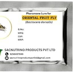 Oriental Fruit Fly Pheromone Lure, Bactrocera Dorsalis lure, Pack of 5-25