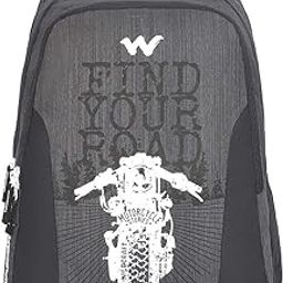 44 Ltrs Blaze 3 Bike Top Black Casual Standard 4 Compartment Backpack (12275_Bike_Top_Black)(Hxwxd : 19X13.5X10.5)(Inches)-11
