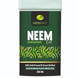GREENFINITY 100% Cold Pressed Natural Neem Oil Concentrate 250ML For Indoor & Outdoor Plants|Steam Distilled | Insecticide, Fungicide, Viricide & Miticide For Natural Gardening | 250 ml-13