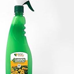 Herbal Strategi Garden Protection Spray 500ml | Made with Neem, Lemon grass and Eucalyptus oil to protect plants from Pest and Fungi | Herbal Eco-Friendly and Water based | Ready to Use - Spray Form-18