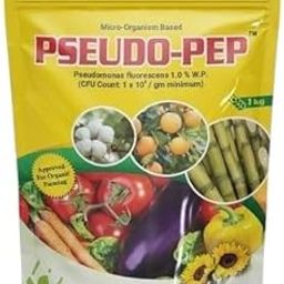 Titan Agritech Limited PSEUDO-PEP Pseudomonas fluorescens 1.0% W.P | Controls Plant Diseases and Boosts Crop Growth – 1kg-image-88