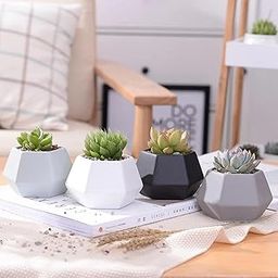 MERISHOPP Mini Ceramic Geometry Simpe Design Planter Pots for Home Decor (Plants NOT| Indoor Plant Pot | Balcony Hanging Basket | Flower Pot-image-7