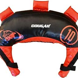 Cougar Strength Training Bag for Fitness Gym Training, Crossfit, Wrestling, MMA Bulgarian Sand Bag Available in Weight 10 Kg-image-74