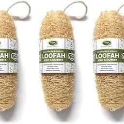 Thanjai Natural Bath Loofah, Body Sponge & Scrubber for Men & Women, Organic Loofah for Bath Shower Skin Exfoliation, Set of 3-1