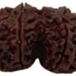 Natural Gauri Shankar 9 Mukhi Original Rudrakash Bead Nine Faced Rudraksha (Brown) with Certificate and Puja Instructions-picture-12