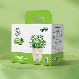 Pot and Bloom Tulsi Gardening Kit| Plant Kit for Home l Includes- Tulsi Seeds, Pot, Potting Mix(Soil & Fertilizer Mix), Plant Growth and Protection Spray| All in one l DIY Kit-13