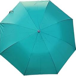 Green color 2 fold umbrella-26