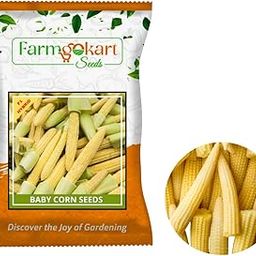 Farmgokart ~ Baby Corn (F1- Hybrid) Planting Seeds – ideal for both home gardening, Open farming, and Poly Houses- Seed Count - 50 Grams-image-9
