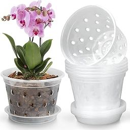 YOPIKUU Orchid Pot,3 4 5 6 Inch 8 Pack Orchid Pots with Holes and Saucers,Clear Plastic Flower Plant Pot for Indoor Outdoor Plants,Slotted Orchids Planter(6Inch)-image-83