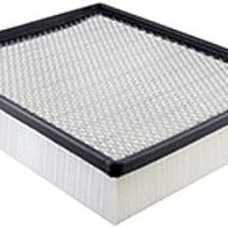 Baldwin PA4113 Air Filter-picture-25