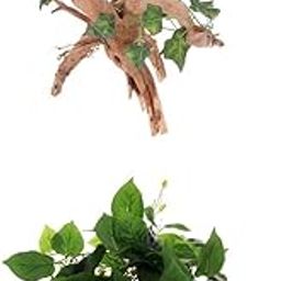 BNF® Set of 2 Rhododendron Root Jungle Vine Leaves Reptile Vivarium Ornament|Pet Supplies | Reptile Supplies|2 Piece Vivarium Ornament-image-3