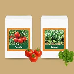 Valar Cherry Tomato Seeds | Open Pollinated Non-GMO Seeds | Home Gardening, Balcony Farming, Sweet Snacking (Cherry tomato+ Spinach)-picture-27