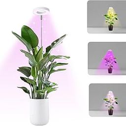 THE LEGACY thelegacyindia.in Grow Light for Indoor Plants, Full Spectrum LED, Adjustable Height and Brightness, Timer, Ideal for Small Plants (Multi Color Light) (Multi Color)-45