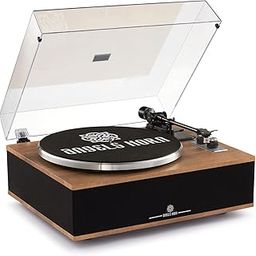 ANGELS HORN Vinyl Record Player, Bluetooth Turntable with 4 Stereo Speakers, High Fidelity Turntables for Vinyl Records with Magnetic Cartridge, Built-in Phono Preamp, Belt Drive 2-Speed, AT-3600L-image-27