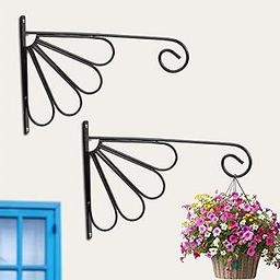 Urban Plant Flower Hanging Multipurpose Wall Hanging Bracket (12 x8.5, 2)-image-95