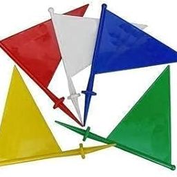 Fitfix® Boundary Flag for Marking for All Sports Cricket, Football etc (Color May Vary) - Set of 10 Assorted Colour (Boundry Flag Mix Colour 10 Pcs) 1 SET-picture-21