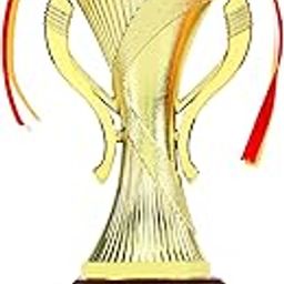 Aark India Marvellous Trophy for Best Dancer Winner/Competition 1st Position Trophies Award (PC0025718)-image-89