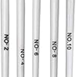 Bolt bee 5pcs Gel Brush Set 2no. 4no. 6no. 8no. 10no Nail Brushes Nail Art Tips (Round & Conical)-31