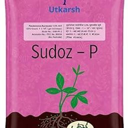 Utkarsh Sudoz-P (Pseudomonas Fluorescens 1.0% W.P.) for Plants, Crops and Home Gardening (1 Kg; Pack of 1)-picture-24