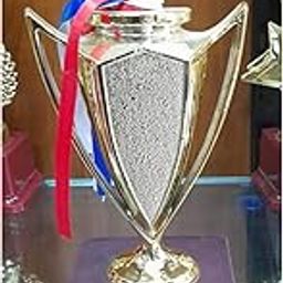 TROPHYwala Winner Cup Trophy, ABS Gold Plated with Crystal Diamond 22 cms for Rewards-picture-10