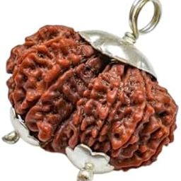Gowri Shankar Rudraksha Original Certified A1 Quality Gaurishankar Rudraksha Pendant नेपाली गौरी शंकर रुद्राक्ष Gauri Shankar Rudraksha Nepali Beads Shiv Parvati Rudraksha For Fashion-17