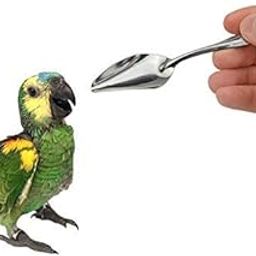 Sage Square Hand Feeding Spoon with Curve Tip for Birds/Puppy/Kitten/Cat/Hamster/Dog (Stainless Steel) (1 Pcs)-image-80