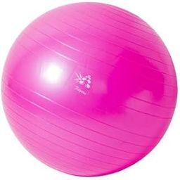 FITGURU Exercise Gym Ball (Multicolor) PVC Anti Burst Fitness Ball Extra Workout Stability Balance Swiss Yoga Ball with Pump (FBA) (Pink, 55)-image-4