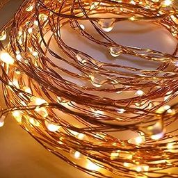 Desidiya 3AA Battery Powered Copper String Decorative LED Fairy Lights Warm White, 5 Meters, 50 LED's (Pack of 1)-picture-15