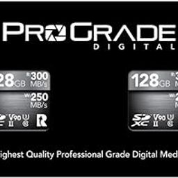 ProGrade Digital SDXC UHS-II V90 Memory Card (128GB), 2-Pack, Silver-picture-31