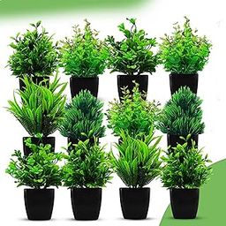 Dodecroo® Small Potted Faux Plants – Pack of 12 Faux Eucalyptus Artificial Plants, Indoor Fake Plants for Home Décor, Office, Living Room, Bedroom & Outdoor | 17.5cm-image-23
