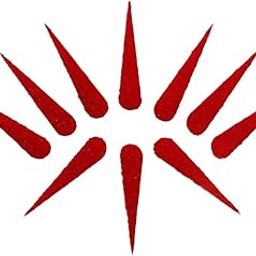 Comet Busters Traditional Red Tilak Bindi (14mm) (BIN1497)-image-90