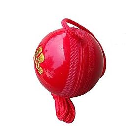 Sports Practice Hanging and Knocking Cricket Ball (Red)-image-31