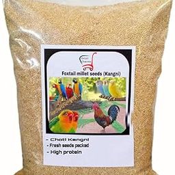 Foxtail Millet (Kangni), Bird Food for All Life Stages Canary, Finches, Waxbills, Budgies, Lovebirds, Cockatiels, Parrots & Parakeets, 1kg-image-53