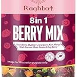 Raghbat 8 in 1 Berry Mix 200g Jar | Dried Berries | Cranberry | Strawberry | Blueberry | Kiwi | Pineapple | Mango | Black Raisins | Snacks | Ready to Eat-image-37