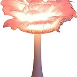 HEAVENGLOW Nordic Feather LED Desk Light USB Nightlight Bedroom Dorm Decoration Pink-image-37