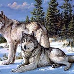 FunBlast 5D Diamond Painting Kit, 12x16inch Diamond Painting Kit for Adults & Kids, Suitable for Home Leisure and Wall Decoration, Gift for Kids and Adults (Wolf)-image-74