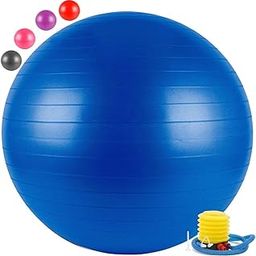 NPB Store Exercise Gym Ball 65cm with Pump Exercise Equipment for Home, Balance, Gym, Core Strength, Yoga, Fitness-image-44