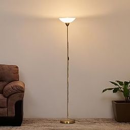 Home Centre Fluorescence Glint Iron Floor Lamp with Glass Shade-image-28