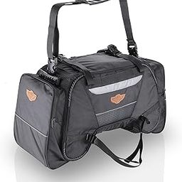 GUARDIANGEARS Rhino Mini 50L Tail Bag with Rain Cover fits on All Motorcycles from 100CC to 1000CC-image-1