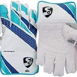 SG Club Wicket Keeping Gloves (Color May Vary)-image-71