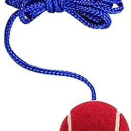 Aerolooks 3.5mtr Practice Ball Heavy for Indoor/Outdoor Knocking Cricket Training Ball Hanging Ball(Standard, Pack of 1, Red)-image-32