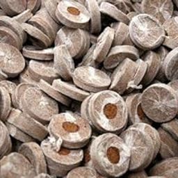 Coir Coins for Seed Germination and Plant Cuttings, Nursery use, Natural Color,36mm Set of 20 Pcs-picture-18