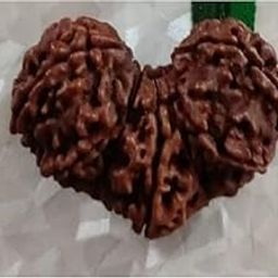 Beauty Gems Mahadev Blessed Trijuti Rudraksha Original Certified नेपाली त्रिजुटी रुद्राक्ष ओरिजिनल Unique & Pure Nepali Brown Tribhagi Rudraksha Beads for Making Mala & Bracelets-picture-37