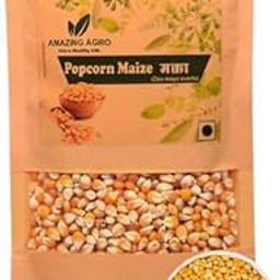 AMAZING AGRO Popcorn maize Seeds - quick make pop-corn makai (makka) - 500gm-image-1